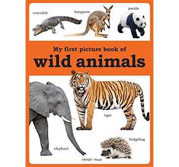 Buy My First Picture Book Of Wild Animals (Picture Book)