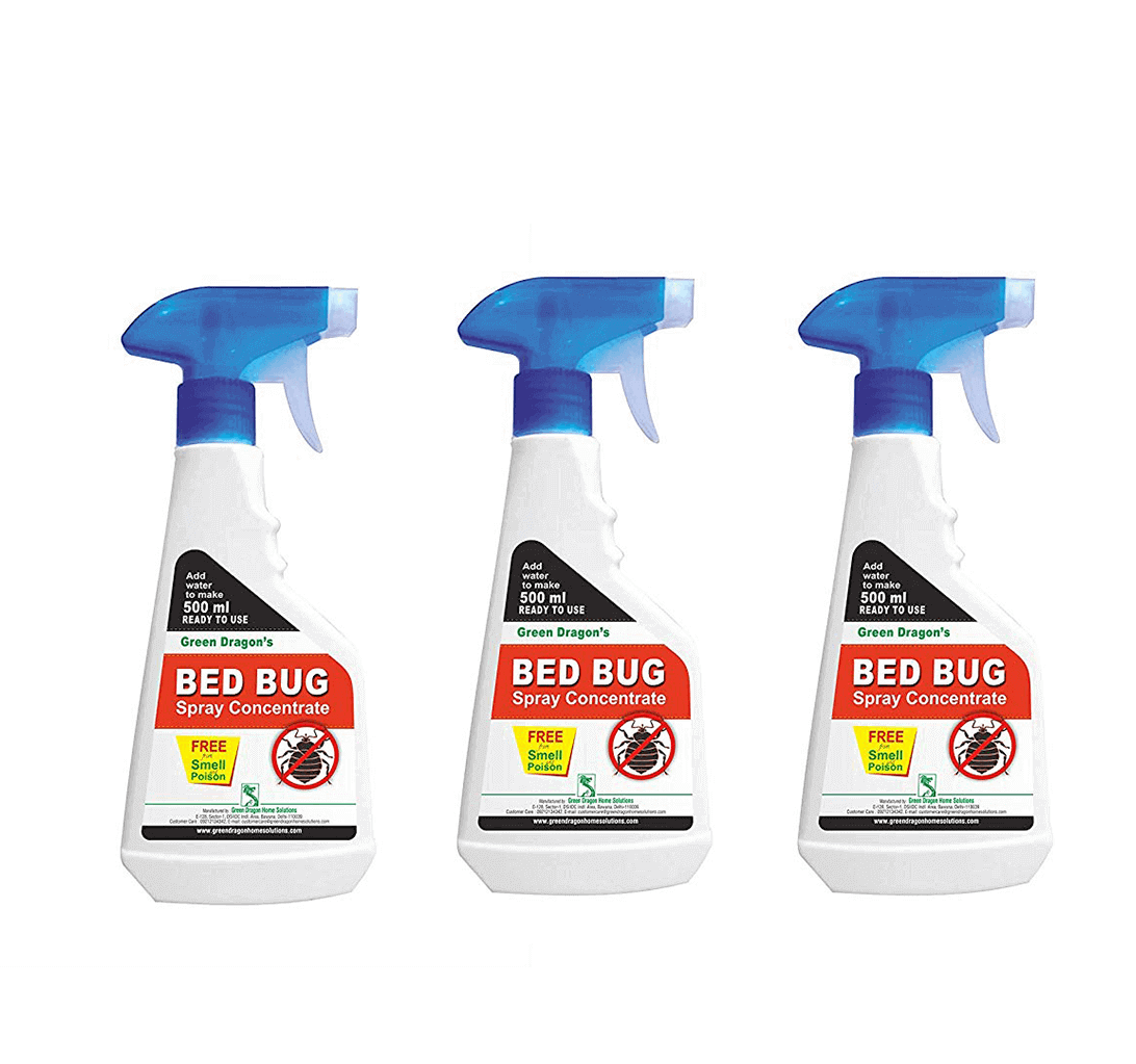 Buy Green Dragon's Bed Bug Spray Concentrate (Pack Of 3) 1.5L