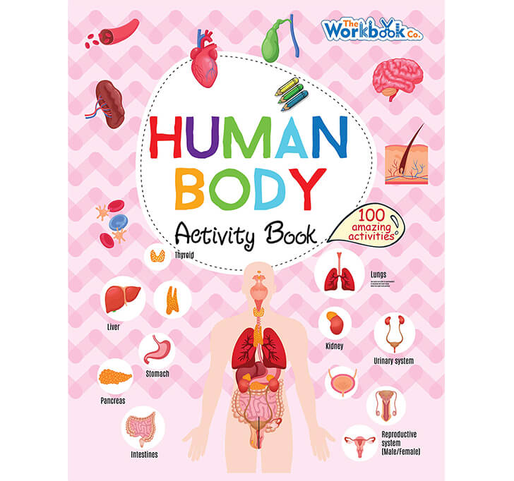 Buy 100 Activities To Learn More About Human Body