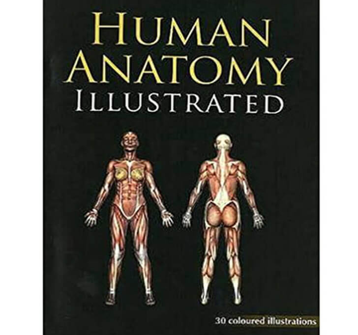 Buy Human Anatomy Illustrated