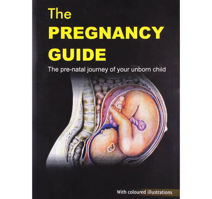Buy The Pregnancy Guide: The Pre-Natal Journey Of Your Unborn Child: 1 