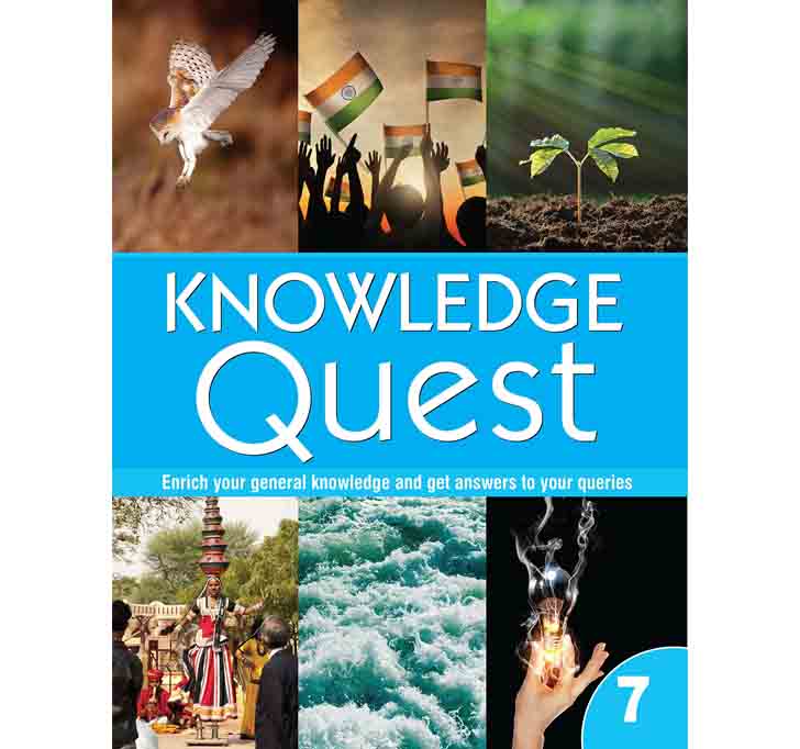 Buy KNOWLEDGE QUEST - 7