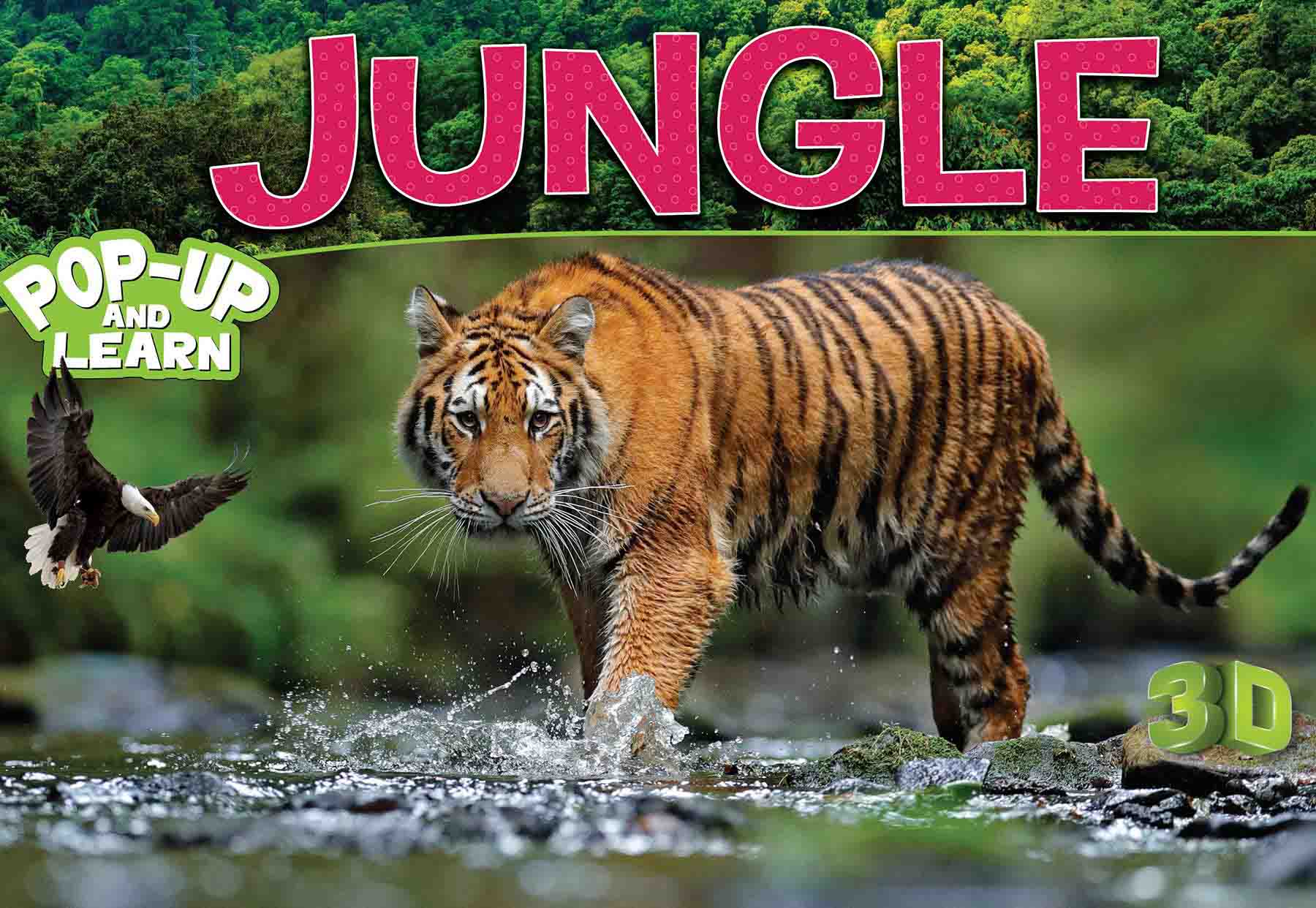 Buy Jungle - 3D Pop-up Book