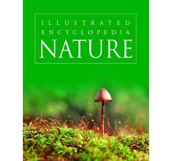 Buy Nature - Illustrated Encyclopedia