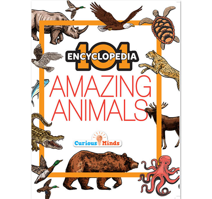 Buy 101 Amazing Animals