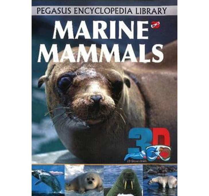 Buy 3D - Marine Mammals: 1