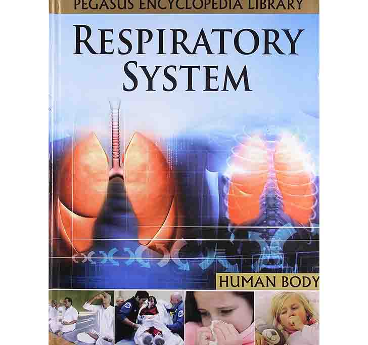 Buy Respiratory System: 1 (Human Body)