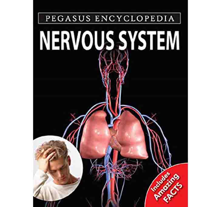 Buy Nervous System: 1 (Human Body)