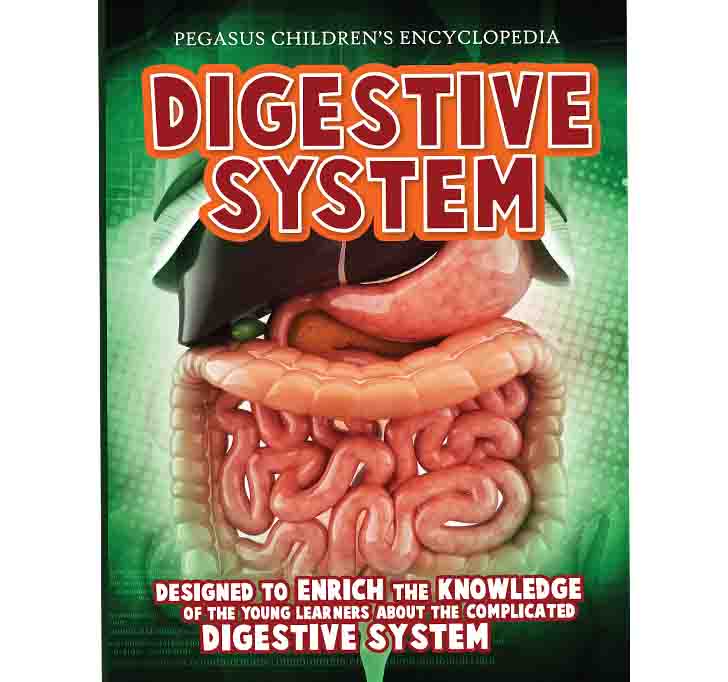 Buy Digestive System: 1 (Human Body)