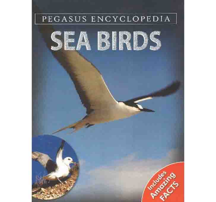 Buy Sea Birds: 1 (Sea World)