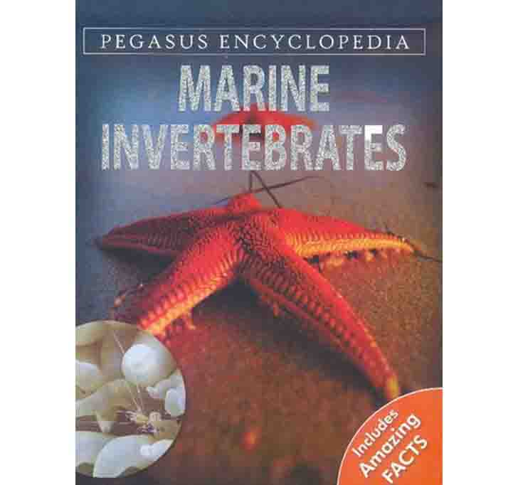 Buy PEGASUS ENCYCLOPEDIA Marine Invertebrates: 1 (Sea World)